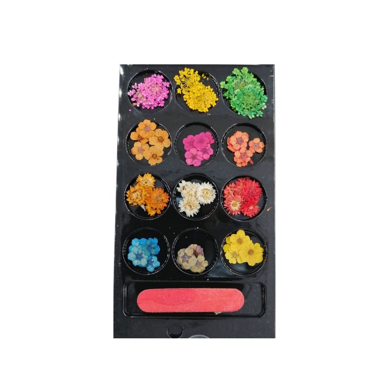 PACK FLORES 12