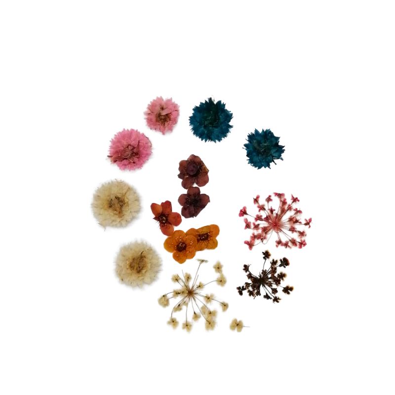 PACK FLORES SECAS