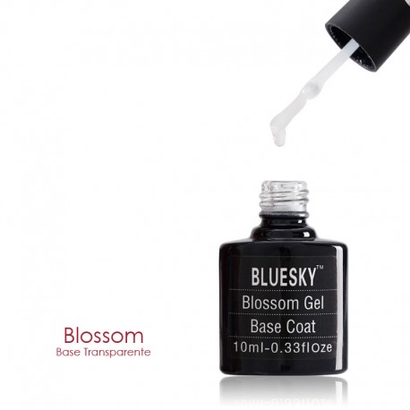 Base BLOSSOM Transparente