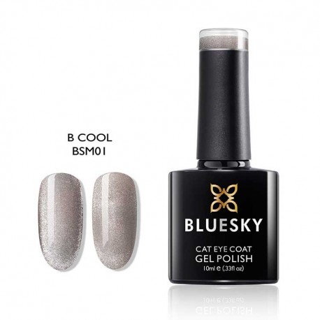 BLUESKY BSM 01 B Cool