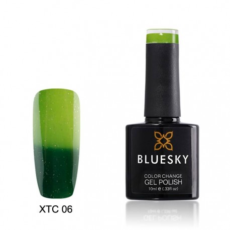 Esmalte permanente TERMICO XTC06